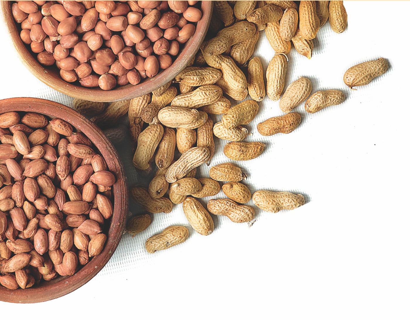 ground nut